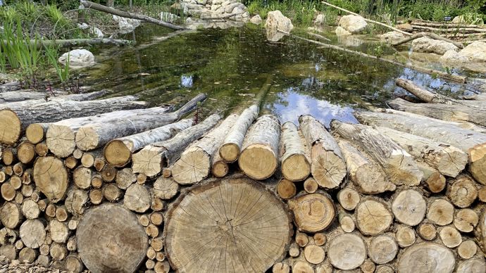 Le prix ‘’Palette et harmonie végétales’’ a été remis à « De derrière les fagots ».
