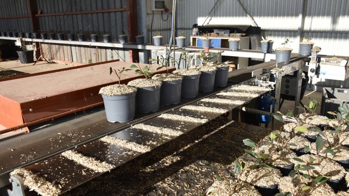 Chaîne de rempotage.