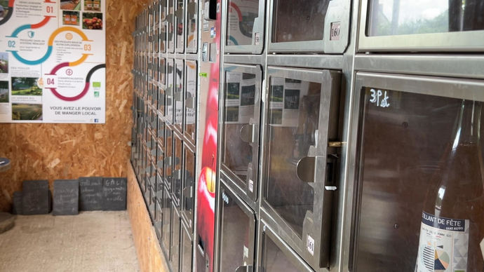 Les poules picorent sous les pommiers sur l'exploitation. Une diversification, clé d'une résilience pour l'agriculteur.