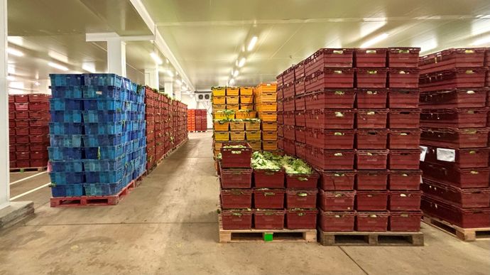 Une fois agréées, les salades arrivent dans un immense hangar qui représente la production quotidienne de l’usine.