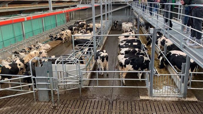 L'éleveur mise sur la robotisation pour consacrer davantage de temps aux vaches.