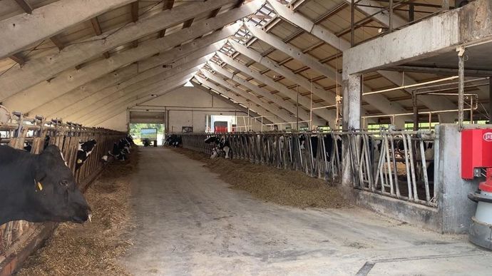 La ferme Rocnik compte un troupeau parmi les plus productifs du pays, avec une moyenne à 14 000 kg de lait par vache.