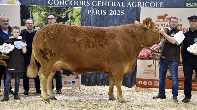 Limagne vient de l'élevage de Jérémy Lagautière dans la Creuse. Elle a été achetée à 8 000 € par la boucherie « Au plaisir de bien manger » située à Pessac (Gironde). Cet acheteur met la main à la poche pour la troisième année consécutive sur le Salon de l'agriculture.