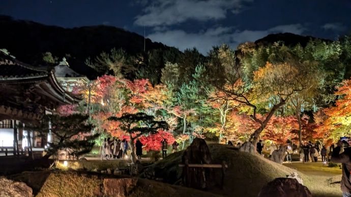 Dans de nombreux temples et jardins au Japon, des illuminations sont installées en automne pour mettre en valeur la couleur des arbres de nuit. Des nocturnes y sont organisées spécialement.