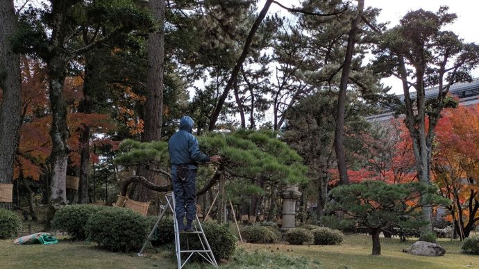 Il n’est pas rare de croiser des personnes chargées de tailler les arbres lors des balades dans les jardins.