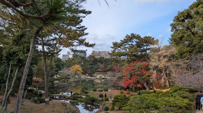 Ce jardin japonais "Shukkei-en", en centre-ville d’Hiroshima, abrite de nombreux érables, s'érigeant comme un lieu incontournable pendant la période automnale des koyo (rougissement des feuilles d'érables japonais).