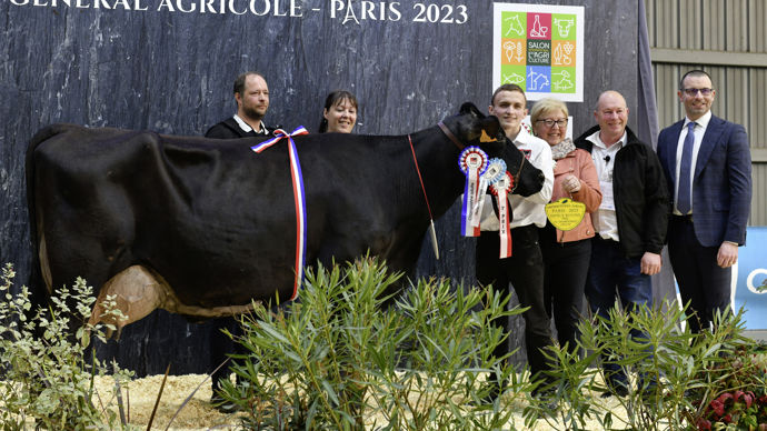 - AJL Margue, originaire de l'Aisne, est la grande championne rouge flamande. La reine d'un jour présente de la solidité et un bon tempérament laitier. Cela promet une bonne longévité.