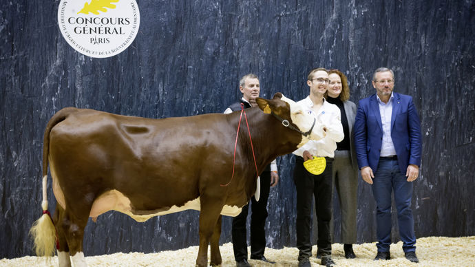 - Ovation ayant obtenu un rappel de championnat, Rose décroche la couronne de championne jeune 2023 pour la race abondance. La vache originaire de Haute-Savoie est tout en puissance, avec une mamelle peu volumineuse et très bien attachée.