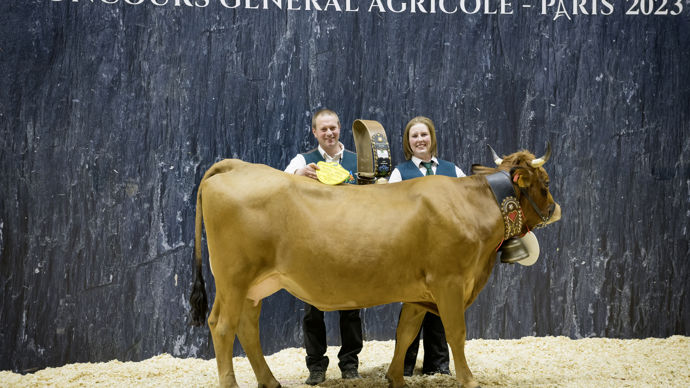 - La championne jeune tarentaise, la savoyarde Pivoine, est la plus complète et la plus régulière de sa catégorie. Sa couverture musculaire a tapé dans l’œil du juge, notamment au niveau de son épaule.