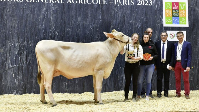 - La grande championne brune, aussi appelée miss BGS, nous vient d'Aveyron. Rismaelle est en première lactation et se déplace déjà sur de très bons membres avec beaucoup de solidité sur l'ensemble de ses postes morphologiques. Son système mammaire est exceptionnel.