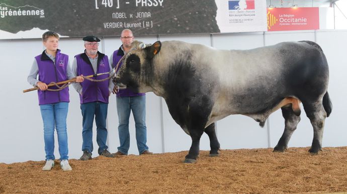 Passy a remporté le championnat mâle adulte, et sa descendance a également fait de bons classements.