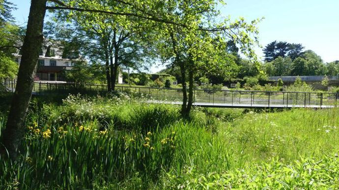 32. « Prix du patrimoine », médaille d’or, chemins du patrimoine en Finistère, jardins des arbres médicinaux de l’abbaye de Daoulas (29). ©CDP