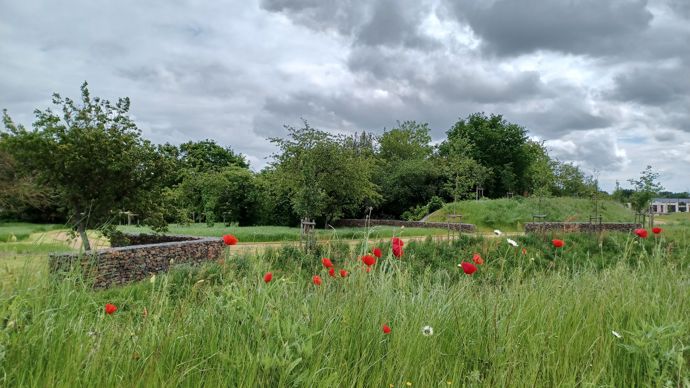 Le parc d’activité du Chêne-Morand à Cesson-Sévigné casse les codes de ce type d’aménagement en intégrant en son cœur un parc nourricier dans lequel la nature et la biodiversité sont favorisés. 