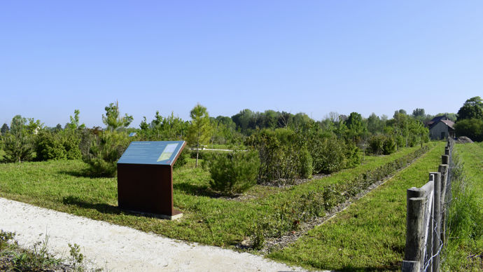 Prix décerné à l'« Aménagement de la promenade de Champagne et du parc des Latitudes ». Des plantations réalisées pour anticiper un projet de lotissement ont permis de réaliser un nouveau parc. 
