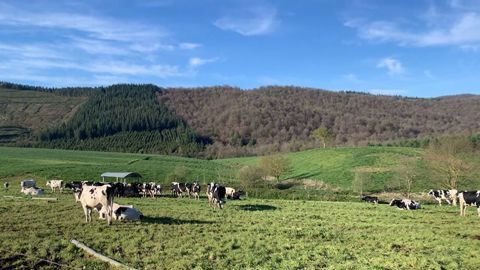 Reportages en Espagne