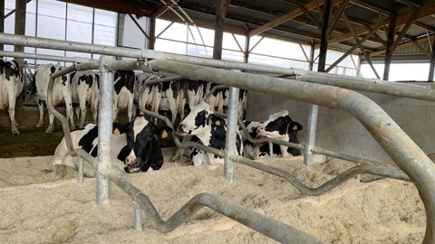 L'importance du confort du bâtiment pour l'éleveur et ses vaches