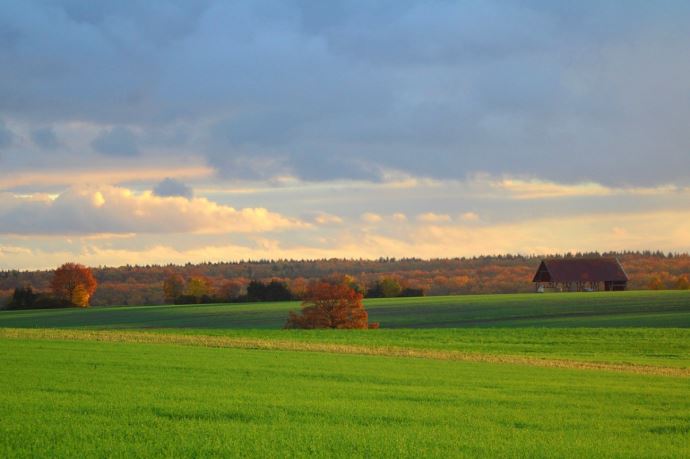 Un mois de novembre très doux à l'image de l'automne, 2e plus chaud, et de l'année en cours record.