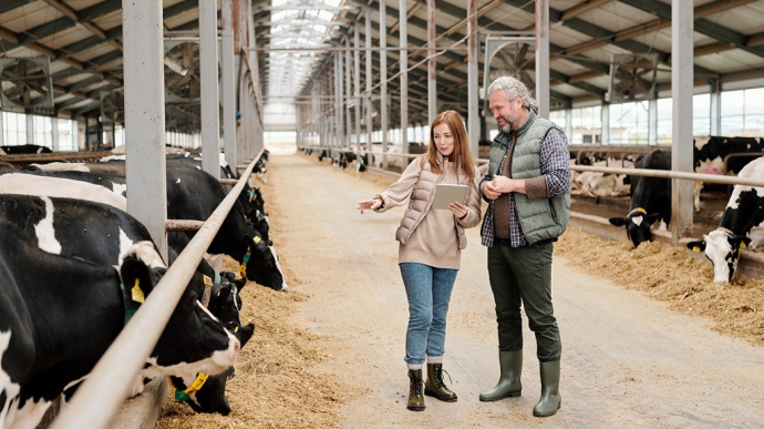 eleveur et salarie agricole dans une stabulation