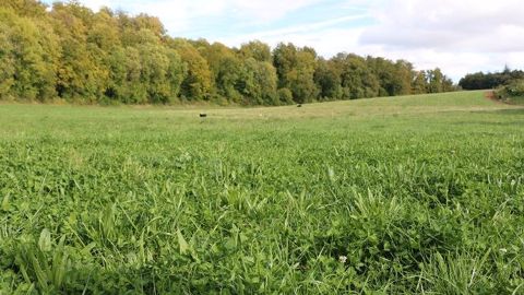 En pâturage tournant dynamique, il existe deux types de subdivision des parcelles : le paddock ou le couloir avec fil avant et fil arrière. En pâturage tournant dynamique, il existe deux types de subdivision des parcelles : le paddock ou le couloir avec fil avant et fil arrière.