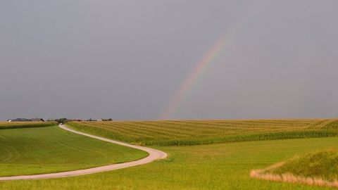 Les cultures français profitent d'un climat plus sec depuis le début de l'année. Les cultures français profitent d'un climat plus sec depuis le début de l'année.