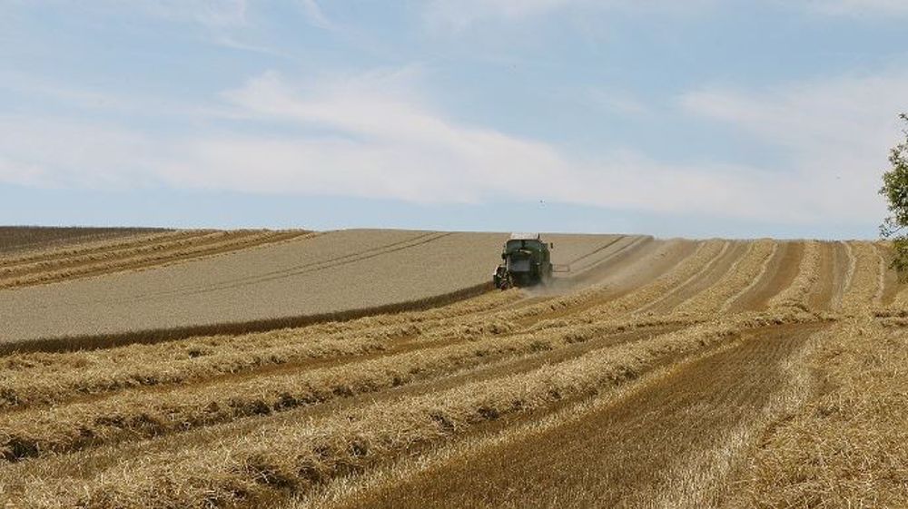 Malgré une bonne moisson 2019, les bons rendements n'ont eu qu'un effet limité sur la rentabilité des exploitations céréalières françaises.