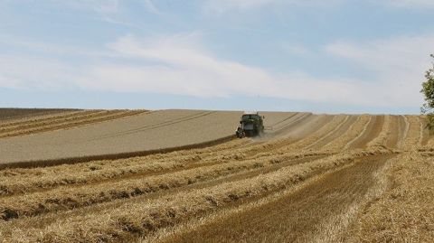 Malgré une bonne moisson 2019, les bons rendements n'ont eu qu'un effet limité sur la rentabilité des exploitations céréalières françaises.