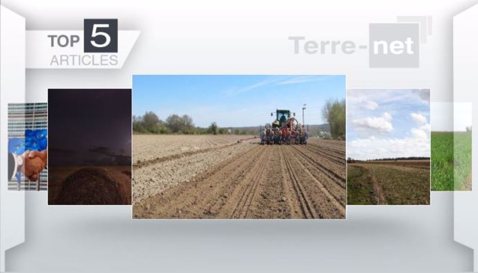 Articles les plus lus sur Terre-net cette semaine.