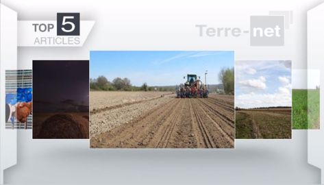 Articles les plus lus sur Terre-net cette semaine.