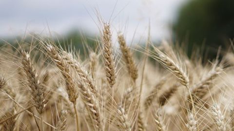 Les signes de nervosité continuent de s’accumuler du côté de la demande et participent à la montée des prix.
