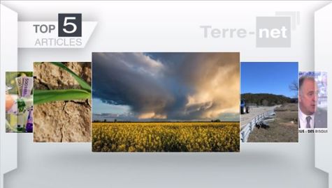Articles les plus lus sur Terre-net cette semaine.