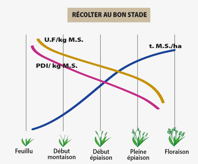 Evolution de la productivité et qualité d’un RGI 