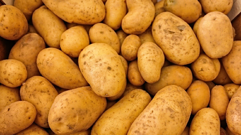 Même la pomme de terre n'échappe pas aux conséquences néfastes du coronavirus.