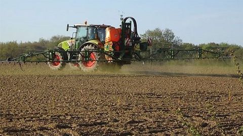 En fonction du type de flore et du niveau d'infestation des parcelles, plusieurs stratégies de désherbage sont possibles dans les jeunes maïs. En fonction du type de flore et du niveau d'infestation des parcelles, plusieurs stratégies de désherbage sont possibles dans les jeunes maïs.