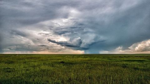 Des pluies viennent soulager les cultures françaises après de longues semaines de sec.