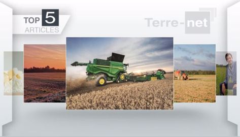 Les cinq articles les plus lus de la semaine sur Terre-net. Les cinq articles les plus lus de la semaine sur Terre-net.