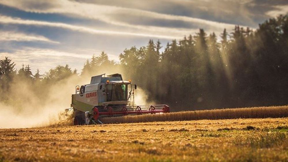 Dans quelles conditions va débuter la moisson 2020 ?