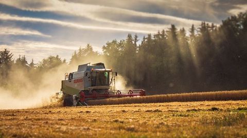 Dans quelles conditions va débuter la moisson 2020 ?