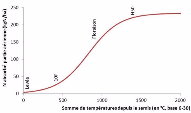 Cinétique d'absorption de l’azote par le maïs