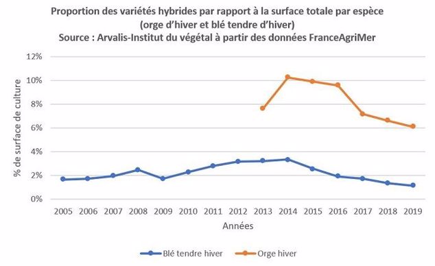 Proportion des variétés hybrides par rapport à la surface totale par espèce