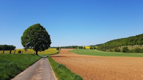 Le soleil a brillé 228 heures en moyenne nationale dans le mois, chiffre largement supérieur à la normale de 182 heures.