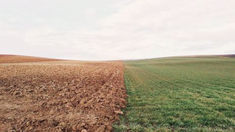 Dans un texte commun, des ONG et des organisations agricoles dont la Confédération paysanne accusent la FNSEA d'instrumentaliser la crise actuelle pour défendre un modèle "périmé"