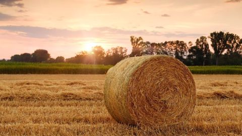 Un soutien à la transition agro-écologique de l'agriculture sera nécessaire pour sortir de la crise, estiment la Conf' et plusieurs organisations.