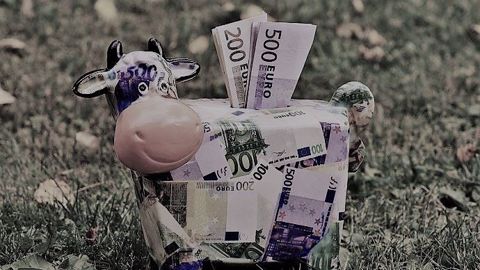 Le projet de budget pluriannuel de l'UE est de 1 100 milliards d'euros et la Pac représente un tiers des allocations.