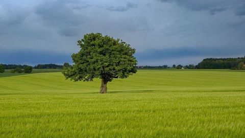 Le retour des pluies en Europe augmente le risque maladie.