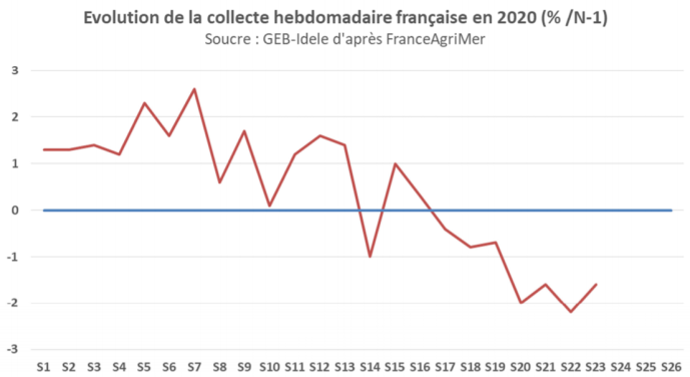 Évolution de la collecte laitière hebdomadaire