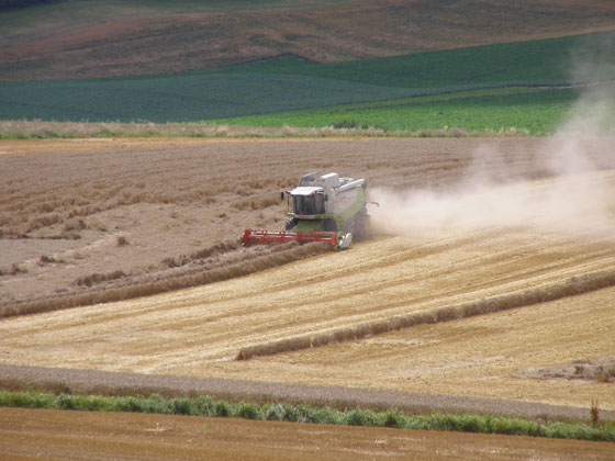 La moisson 2012 augmente le revenu des céréaliers